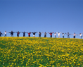 ILI-Halifax Students in Dandelion Field